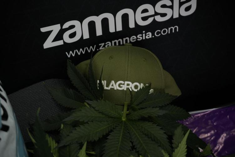 Skywalker OG Legends of the 12/12 Galaxy. Week 7 - Leafs