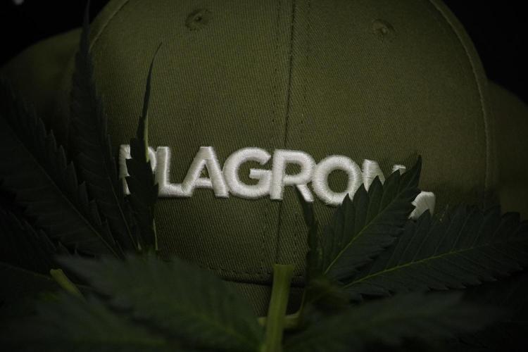 Skywalker OG Legends of the 12/12 Galaxy. Week 7 - Leafs