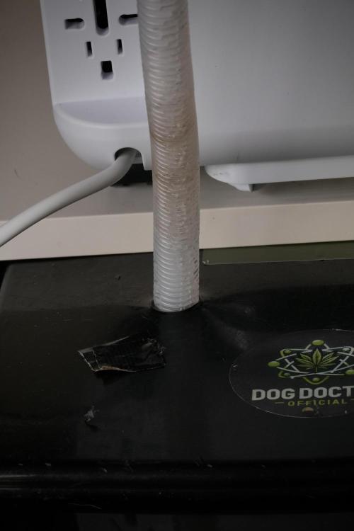 TicaL X Zamnesia-NectarDrip pack#268/750. Week 9 - Dehumidifier set up 