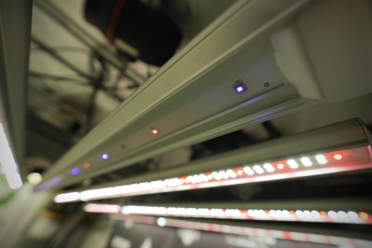 TicaL X Zamnesia-NectarDrip pack#268/750. Week 9 - UVA-UVB-FAR RED