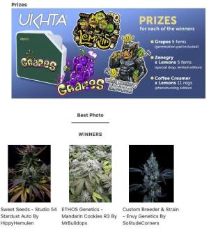 Comment by DogDoctorOfficial photo #1