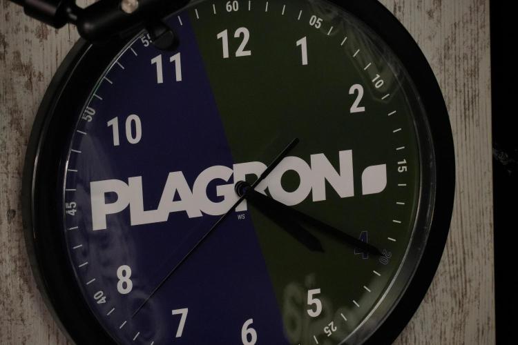 LSD Zamnesia Trippping. Week 8 - Room and Vibes 