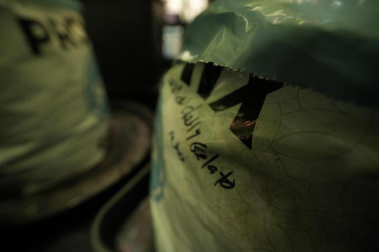 Lemon Cherry Gelato YumYum. Week 8 - LCG in the wild 