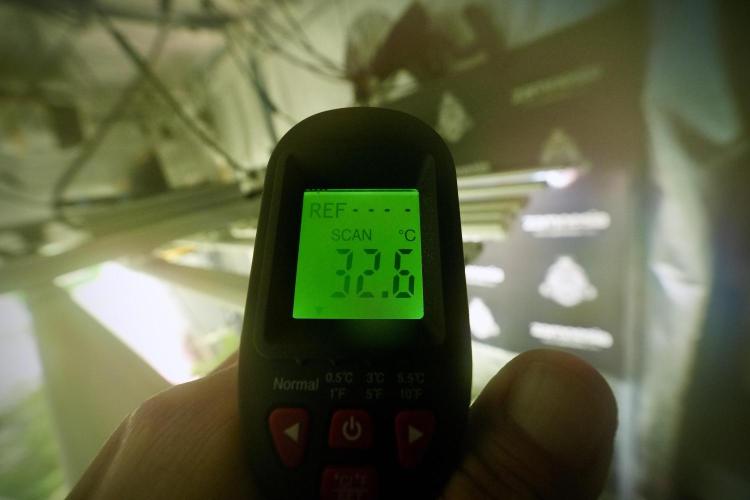 Lemon Cherry Gelato YumYum. Week 8 - LED temps