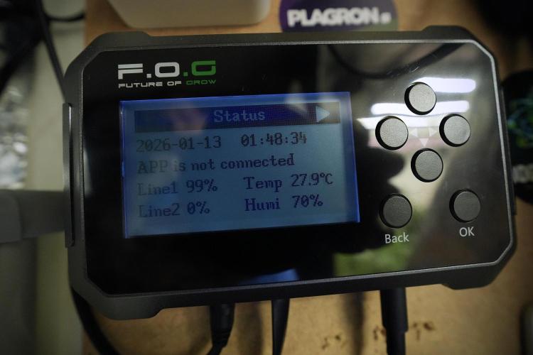 Cosmic Noodles a Zamnesia Dish. Week 8 - Data