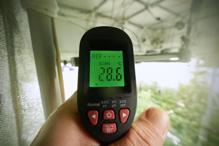 Cosmic Noodles a Zamnesia Dish. Week 8 - Data