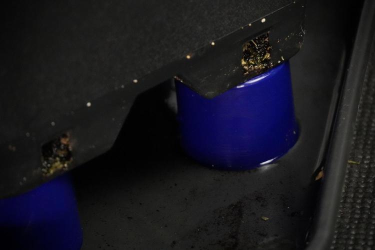 Cosmic Noodles a Zamnesia Dish. Week 8 - Cosmic Noodles The Overwatered One