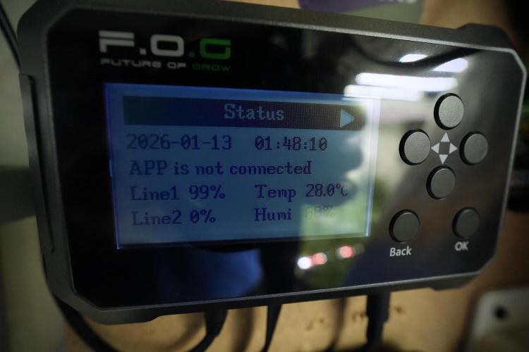 Amnesia Skunk The Zamnesia Way. Week 8 - Room and Vibes 