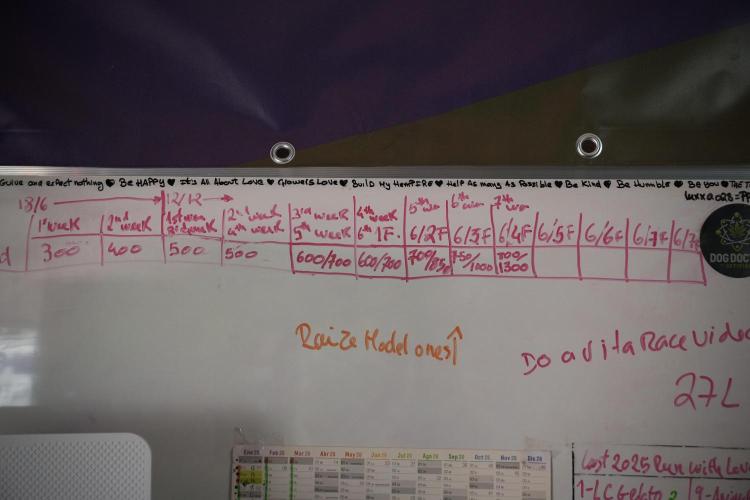 Amnesia Skunk The Zamnesia Way. Week 8 - Room and Vibes 