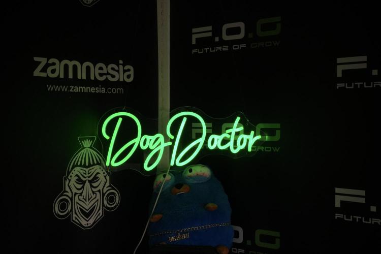 Amnesia Skunk The Zamnesia Way. Week 8 - The Garden