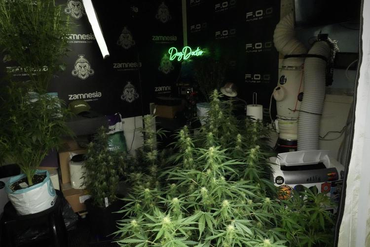 Catching The Ghost Train Haze @ Zamnesia. Week 8 - Room and Vibes 