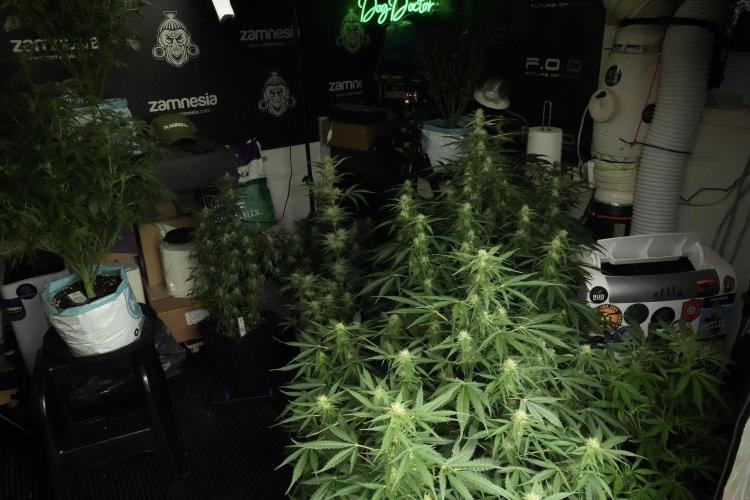 Skywalker OG Legends of the 12/12 Galaxy. Week 8 - Room and Vibes hand Watering moves 