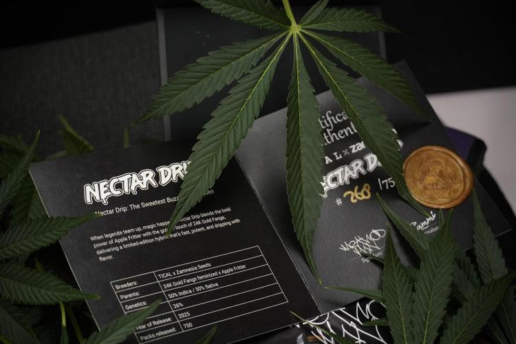 TicaL X Zamnesia-NectarDrip pack#268/750. Week 10 - Nectar Drip no Veg 12/12 from seed 