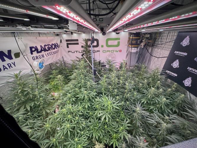 Catching The Ghost Train Haze @ Zamnesia. Week 9 - Room and Vibes 