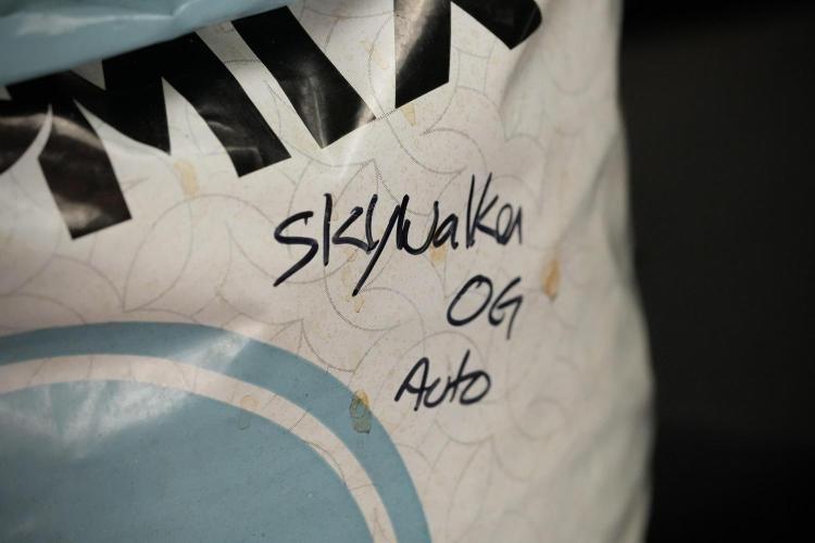 Skywalker OG Legends of the 12/12 Galaxy. Week 9 - Sky Walker OG