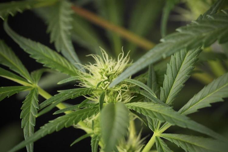 Skywalker OG Legends of the 12/12 Galaxy. Week 9 - Sky Walker OG studio time details