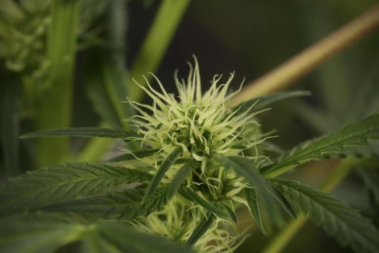 Skywalker OG Legends of the 12/12 Galaxy. Week 9 - Sky Walker OG studio time details