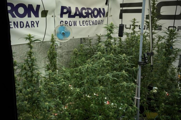 Skywalker OG Legends of the 12/12 Galaxy. Week 10 - Room and Vibes