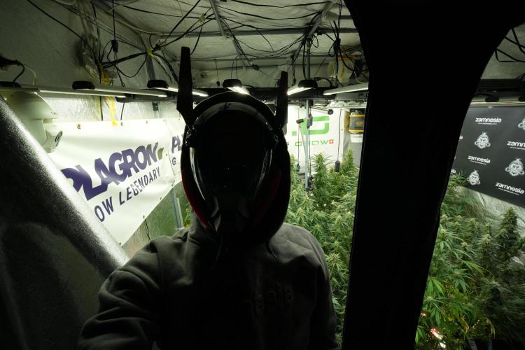 SOUR DIESEL-The Ascension of a Legend. Week 12 - me and the Room
