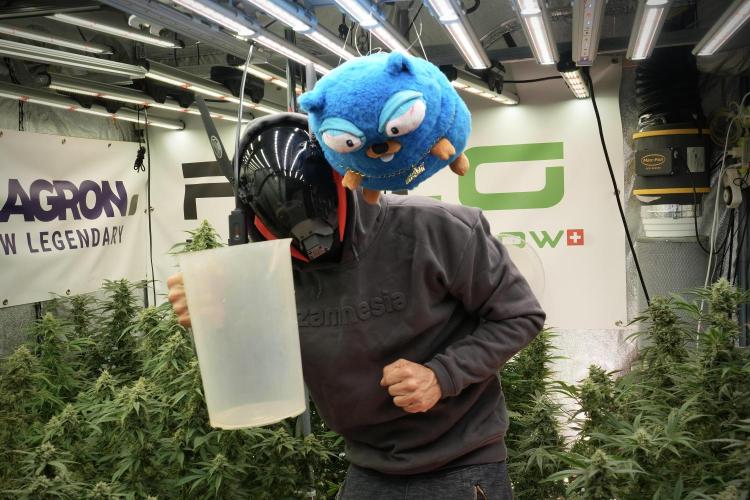 TicaL X Zamnesia-NectarDrip pack#268/750. Week 13 - Mr. Baggy helping me along