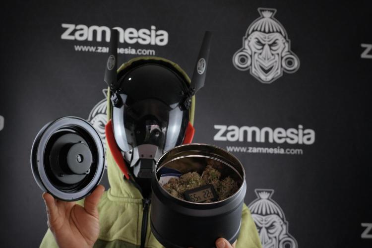 LSD Zamnesia Trippping. Week 13 - me and great merchandise 