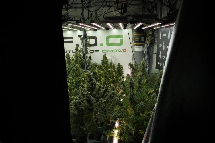 Catching The Ghost Train Haze @ Zamnesia. Week 13 - Room and vibes  