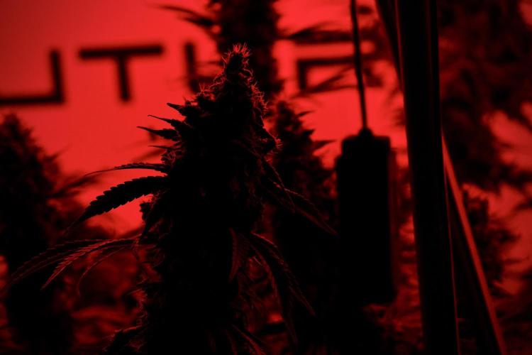 Skywalker OG Legends of the 12/12 Galaxy. Week 13 - Reds 