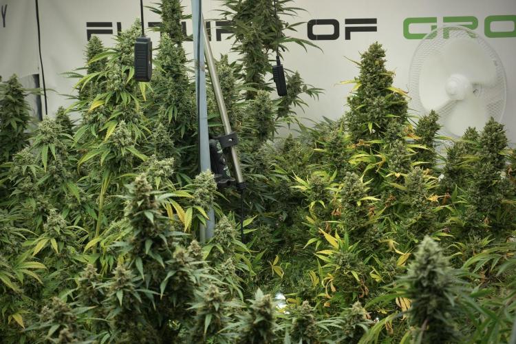 Skywalker OG Legends of the 12/12 Galaxy. Week 13 - Room and vibes 