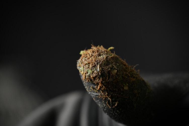 LSD Zamnesia Trippping. Week 14 - LSD the Frozen Plant 