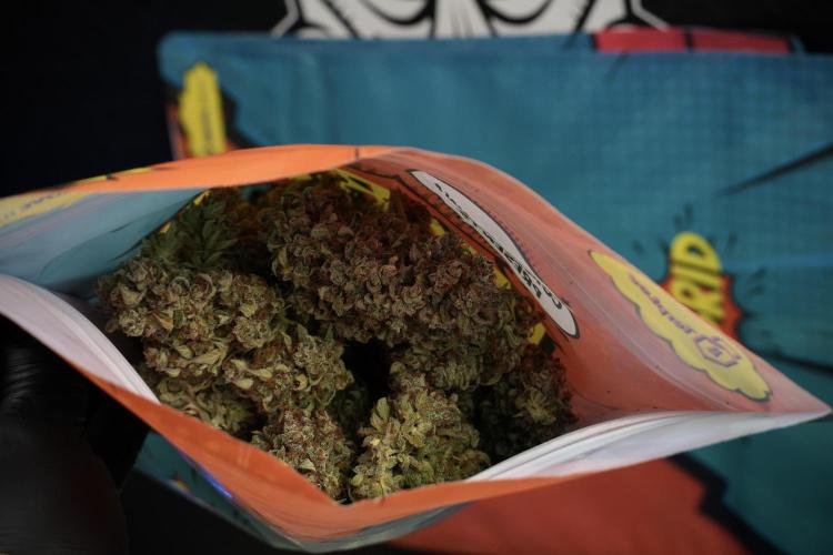 Cosmic Noodles a Zamnesia Dish. Week 14 - Cosmic Noodles Terpenes Saving with Grove Bags 