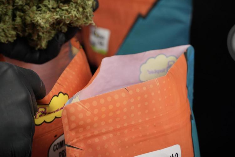 Cosmic Noodles a Zamnesia Dish. Week 14 - Cosmic Noodles Terpenes Saving with Grove Bags 