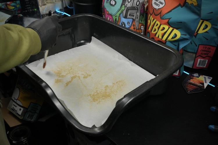 Cosmic Noodles a Zamnesia Dish. Week 14 - Trim Bin Gold 