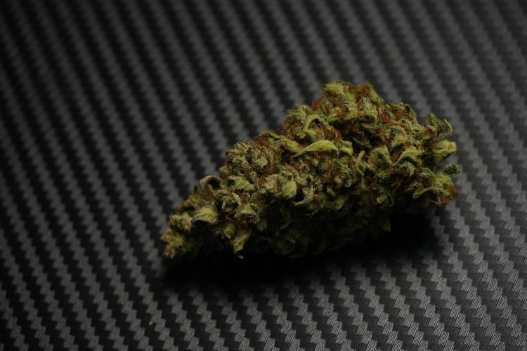 Cosmic Noodles a Zamnesia Dish. Week 14 - Bud cured for over a month 