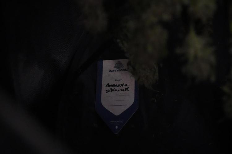 Amnesia Skunk The Zamnesia Way. Week 14 - Amnesia Skunk Harvest day