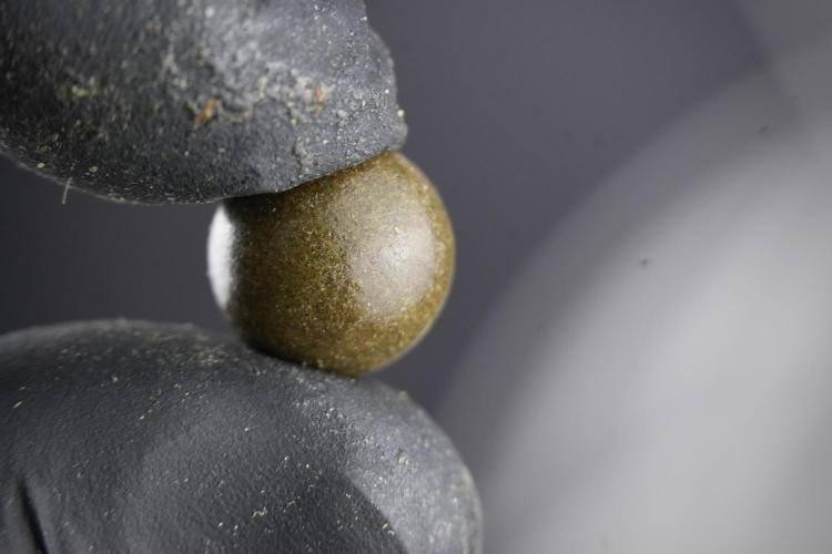 Amnesia Skunk The Zamnesia Way. Week 15 - turning gold dust in to temple hash ball 