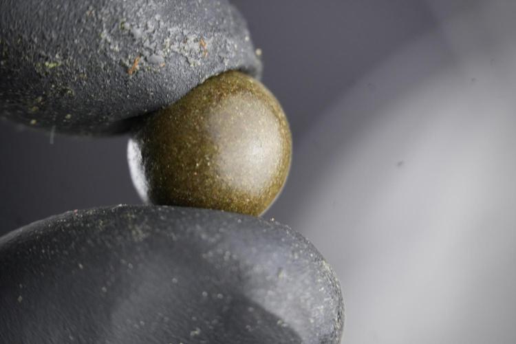 Amnesia Skunk The Zamnesia Way. Week 15 - turning gold dust in to temple hash ball 