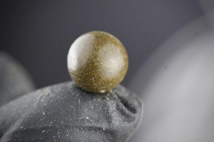 Amnesia Skunk The Zamnesia Way. Week 15 - turning gold dust in to temple hash ball 
