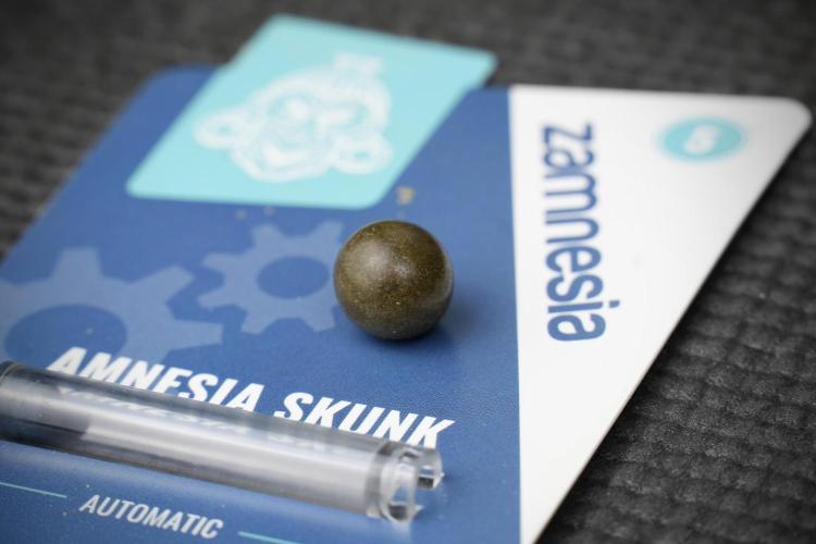 Amnesia Skunk The Zamnesia Way. Week 15 - turning gold dust in to temple hash ball 