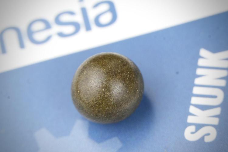 Amnesia Skunk The Zamnesia Way. Week 15 - turning gold dust in to temple hash ball 