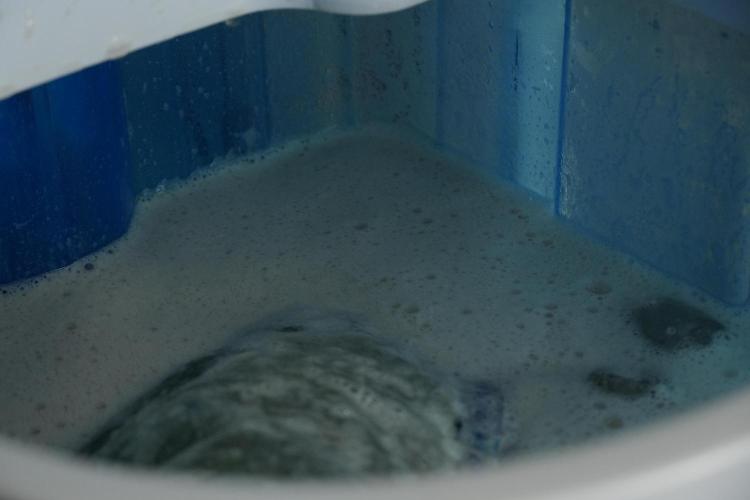 Catching The Ghost Train Haze @ Zamnesia. Week 14 - Washing the  Ghost Train Haze fresh frozen 
