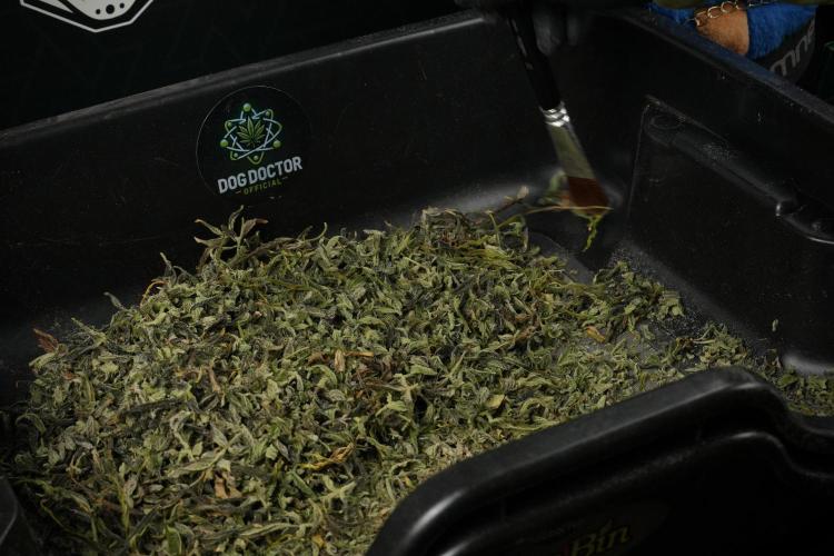 Catching The Ghost Train Haze @ Zamnesia. Week 15 - Playing the drums