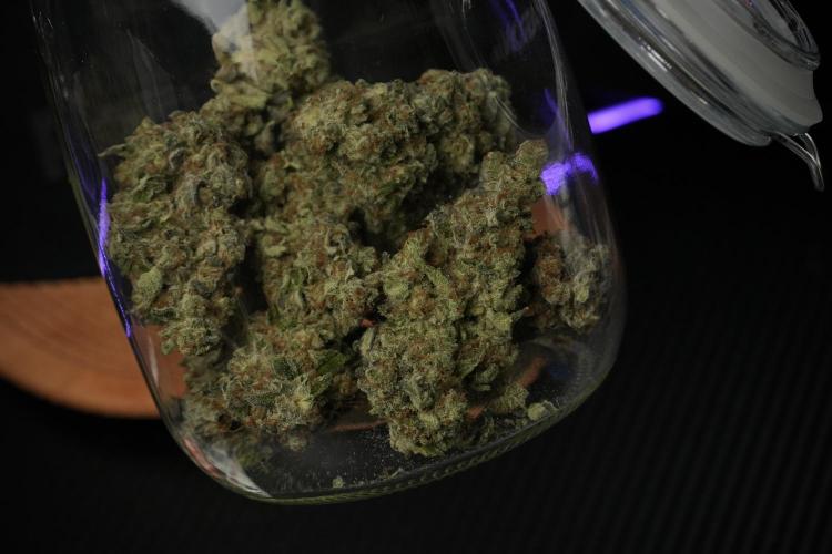 Catching The Ghost Train Haze @ Zamnesia. Week 15 - saving 