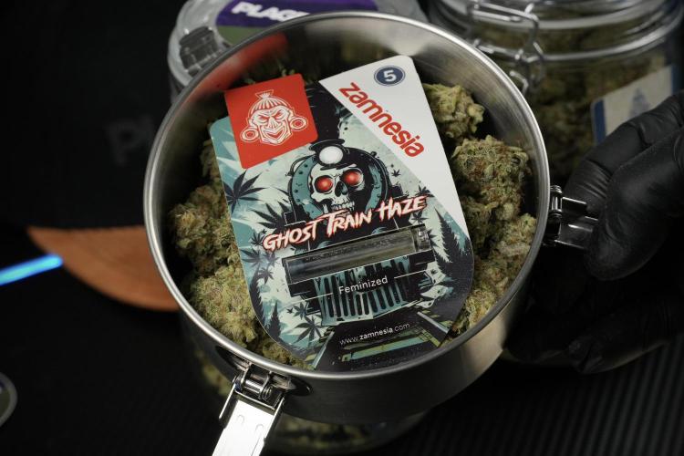 Catching The Ghost Train Haze @ Zamnesia. Week 15 - saving 