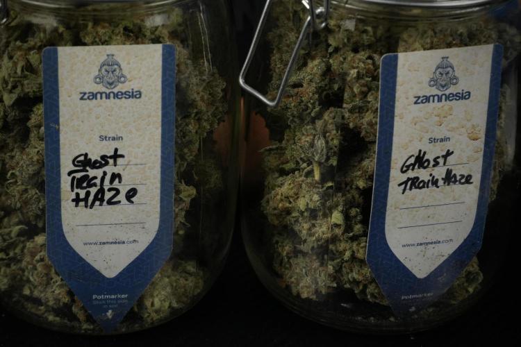 Catching The Ghost Train Haze @ Zamnesia. Week 15 - saving 
