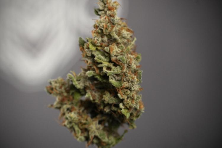 Catching The Ghost Train Haze @ Zamnesia. Week 15 - the frozen ghost train haze for testing and comparing 