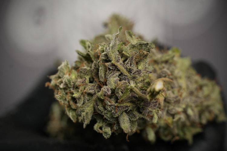 Catching The Ghost Train Haze @ Zamnesia. Week 15 - the frozen ghost train haze for testing and comparing 