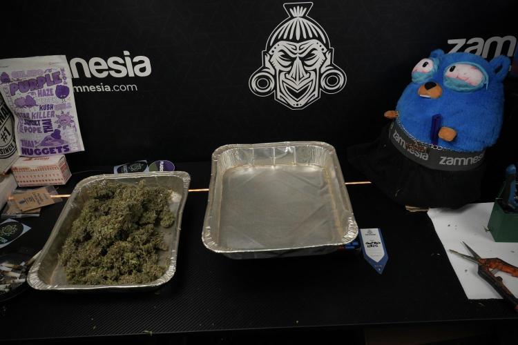 Catching The Ghost Train Haze @ Zamnesia. Week 15 - the frozen ghost train haze for testing and comparing 