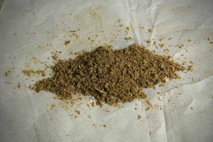 Catching The Ghost Train Haze @ Zamnesia. Week 16 - Ghost Train Haze ice water hash 
