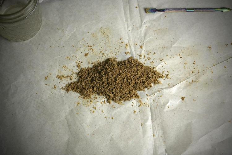 Catching The Ghost Train Haze @ Zamnesia. Week 16 - Ghost Train Haze ice water hash 