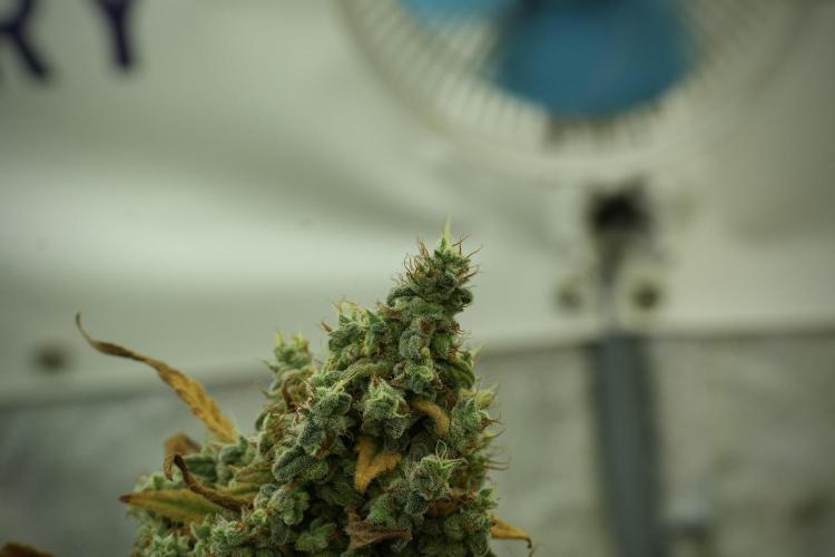 Skywalker OG Legends of the 12/12 Galaxy. Week 14 - SkyWalker OG fading 